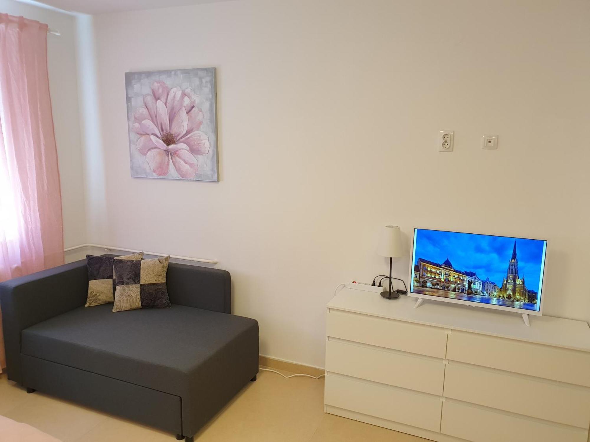 Podbara Centar Apartment Novi Sad Bagian luar foto