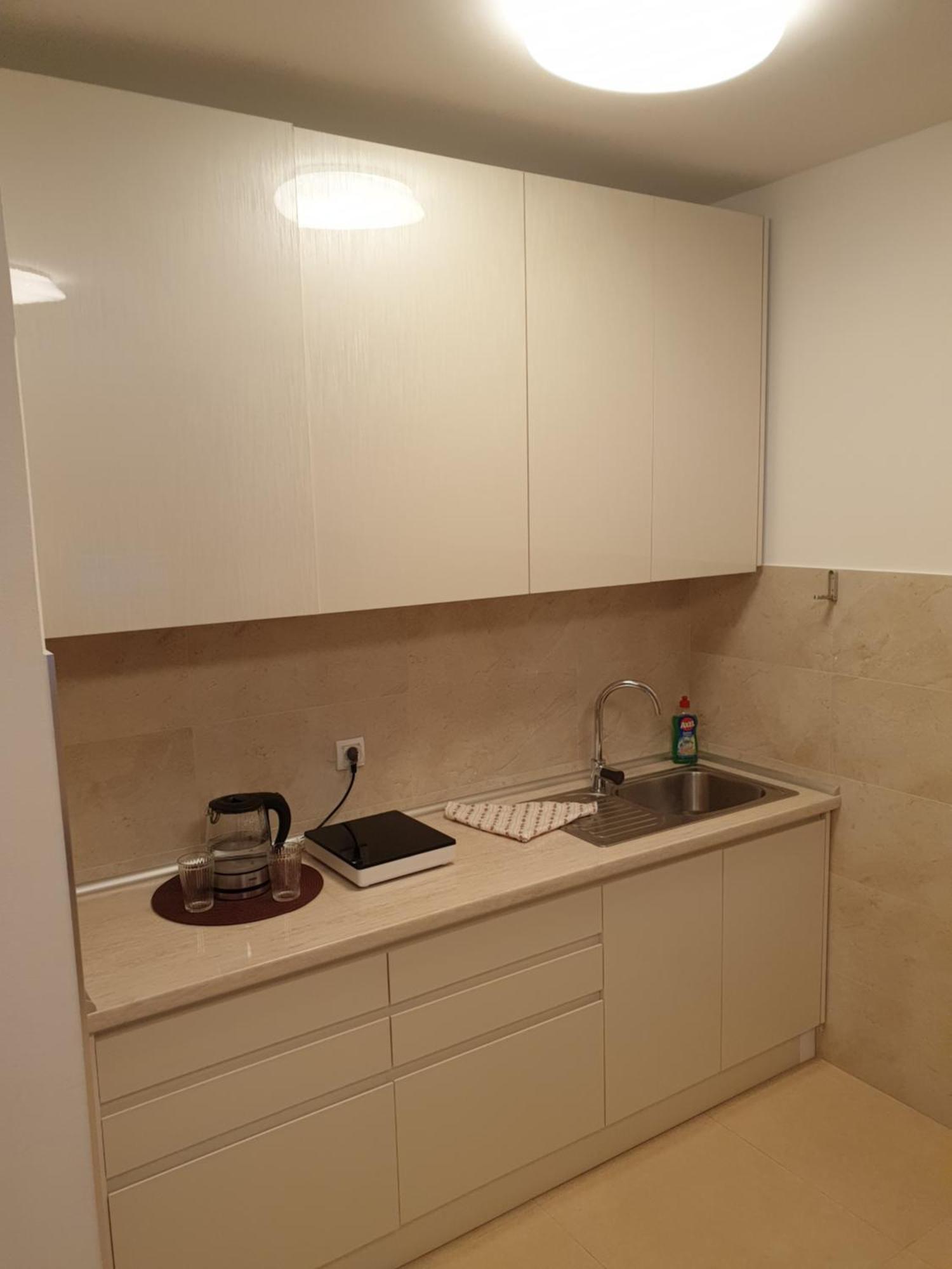 Podbara Centar Apartment Novi Sad Bagian luar foto